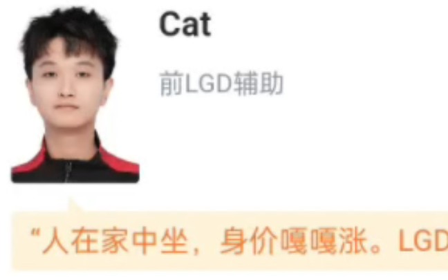 LGD 2:4 RW侠,cat身价上涨,白老板崩溃,虎扑趣味评分上线电子竞技热门视频