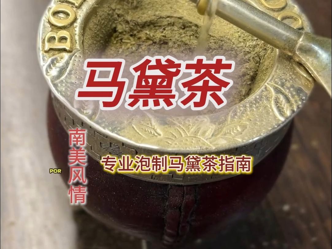 马黛茶品种图片