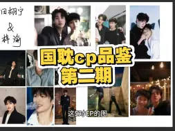 【国耽锐评】第二期 十多年纯血小说妹品鉴n.0（快速但依旧废话版）