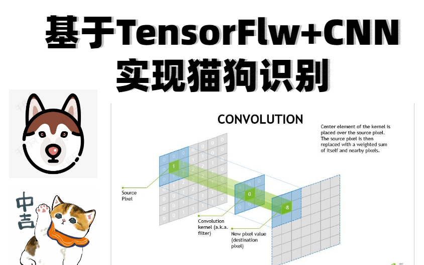 【图像识别经典项目】基于TensorFlow+CNN实现猫狗识别实战(深度学习/计算机视觉/神经网络/图像处理/图像识别)哔哩哔哩bilibili