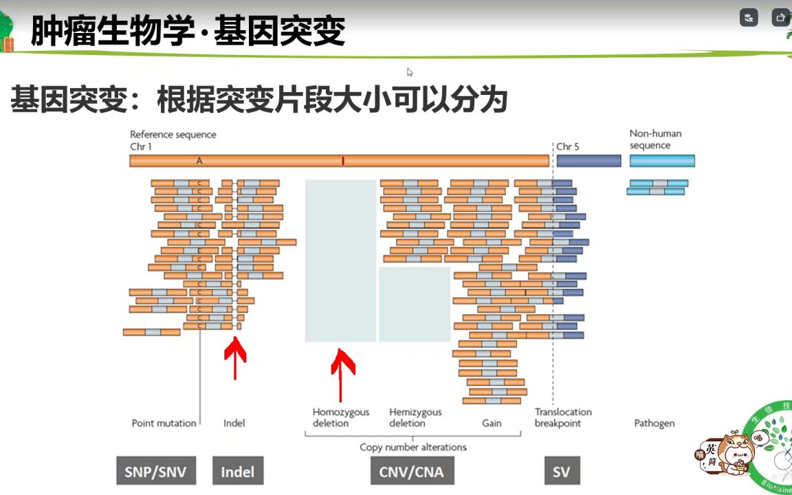 12.临床预测模型SCI论文理论与实践医学会员免费学哔哩哔哩bilibili