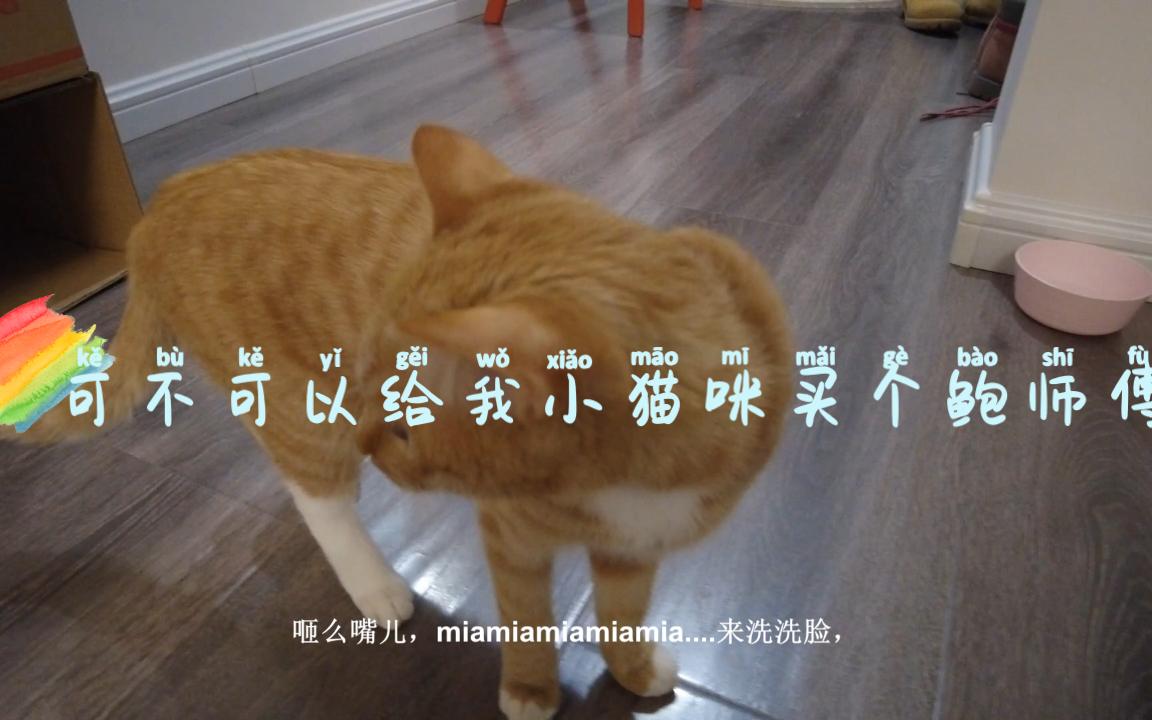 【日常VLOG猫】我小猫咪可以吃一个肉松小贝吗?哔哩哔哩bilibili