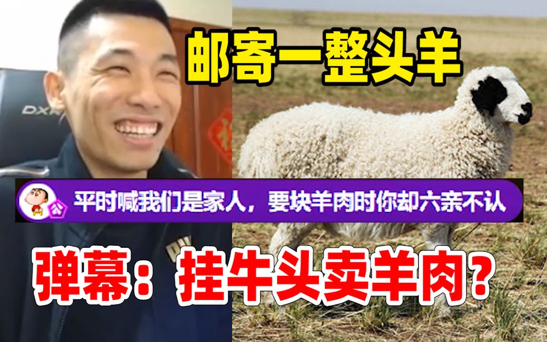 苏力德牛肉干给宝哥邮寄了一整头羊!弹幕:挂牛头卖羊肉?哔哩哔哩bilibili