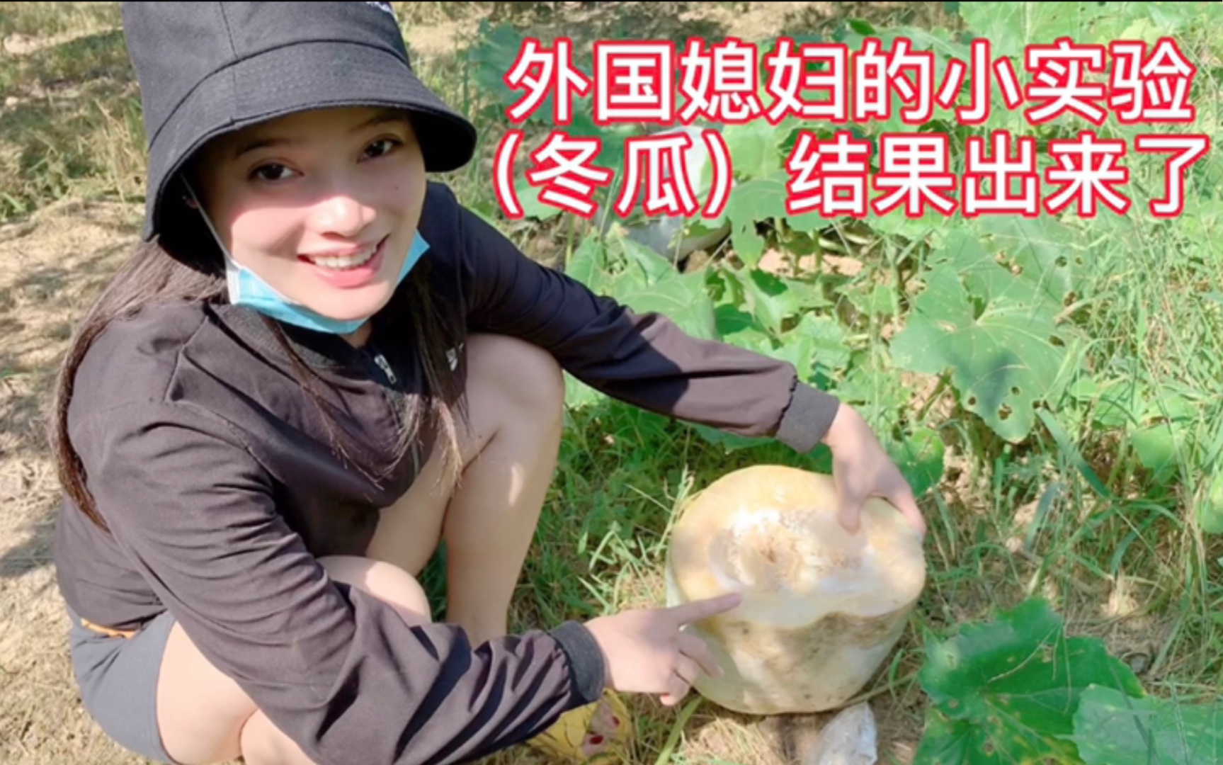 外国媳妇小实验(冬瓜)结果出来了,三天就坏一半,日常砍瓜切菜_哔哩