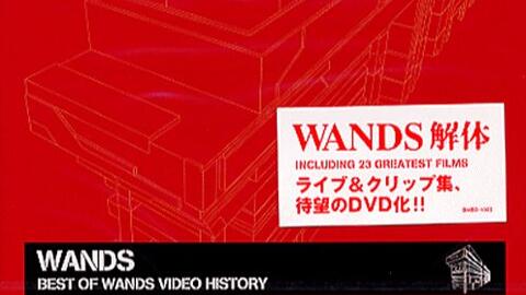 WANDS - BEST OF WANDS VIDEO HISTORY