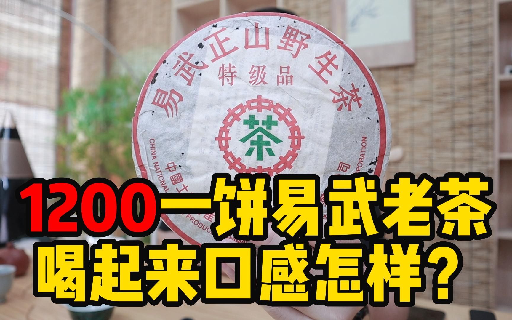 试喝“中茶”20年的易武老茶,1200元一饼,口感到底值不值?哔哩哔哩bilibili