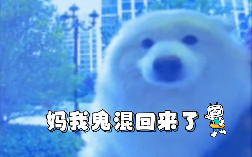 我鬼混回来了