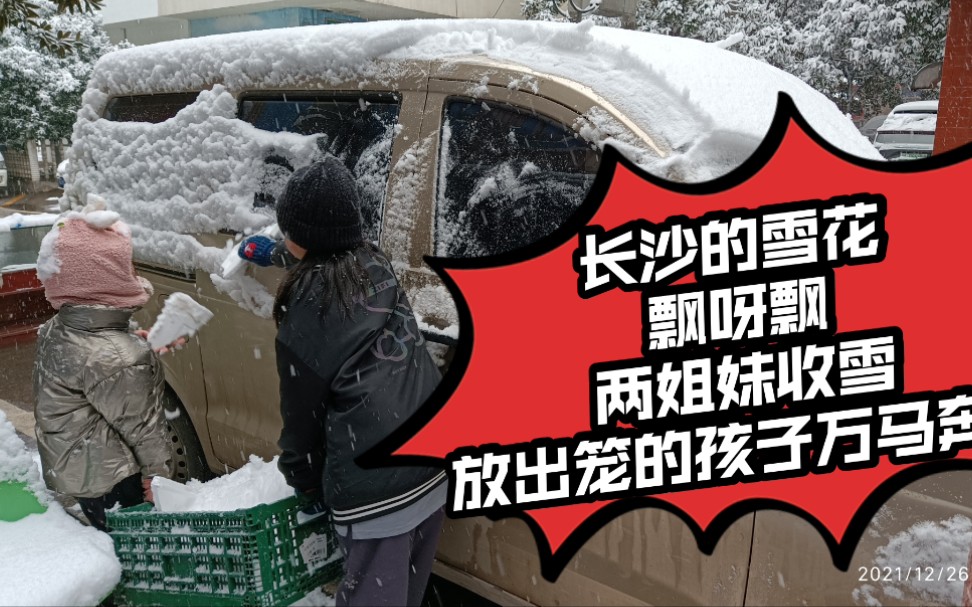 [图]长沙的雪花飘呀飘，两姐妹框子收积雪，放出笼的孩子万马奔腾