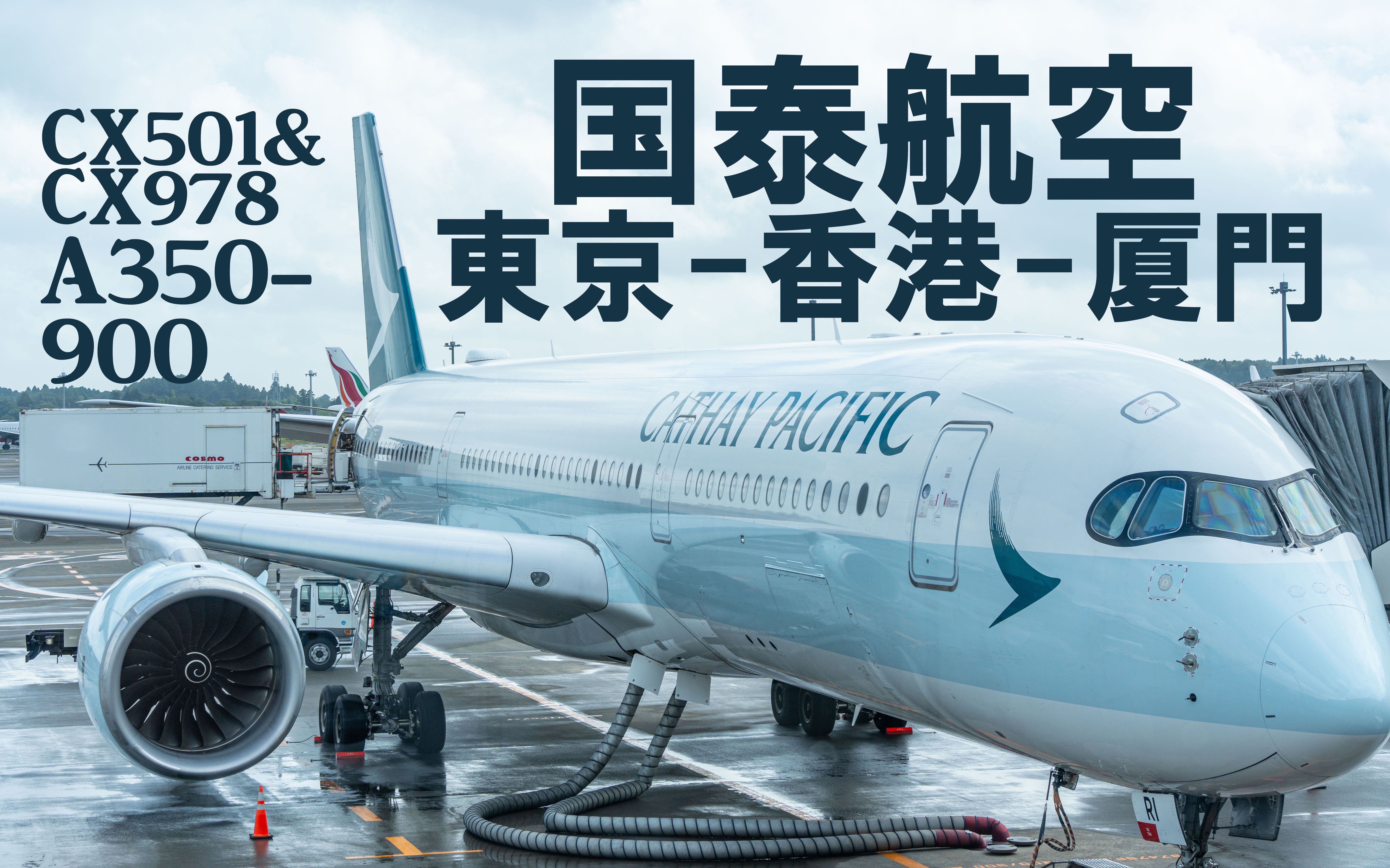 出发前巧遇突发状况 国泰航空 东京成田香港厦门 CX501/CX978 空客A350&A330飞行报告 在日留学生时隔一年回国【津丸日本留学记录】4K哔哩哔哩...