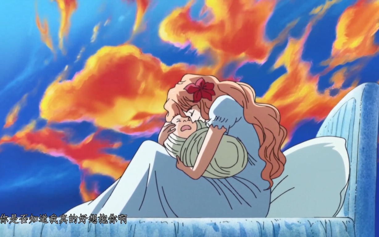【海贼王/母亲混剪】母爱是一种巨大的火焰_哔哩哔哩 (゜-゜)つロ