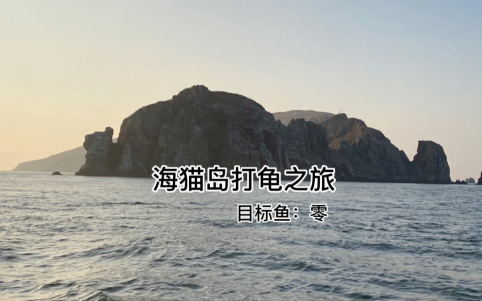 大连海猫岛打龟之旅哔哩哔哩bilibili