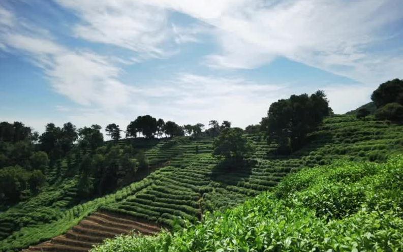 [图]杭州网红景点打卡圣地满觉陇，千与千寻汤屋私人老宅，山顶秋千俯瞰西湖全景杭州