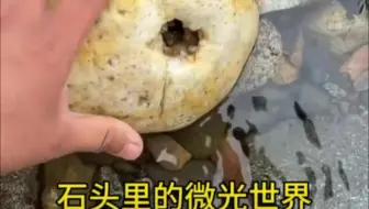 据说只有善良之人才会刷到此视频，这是一个泪目视频，感恩打开，你的一个小小举动能挽救一条生命！