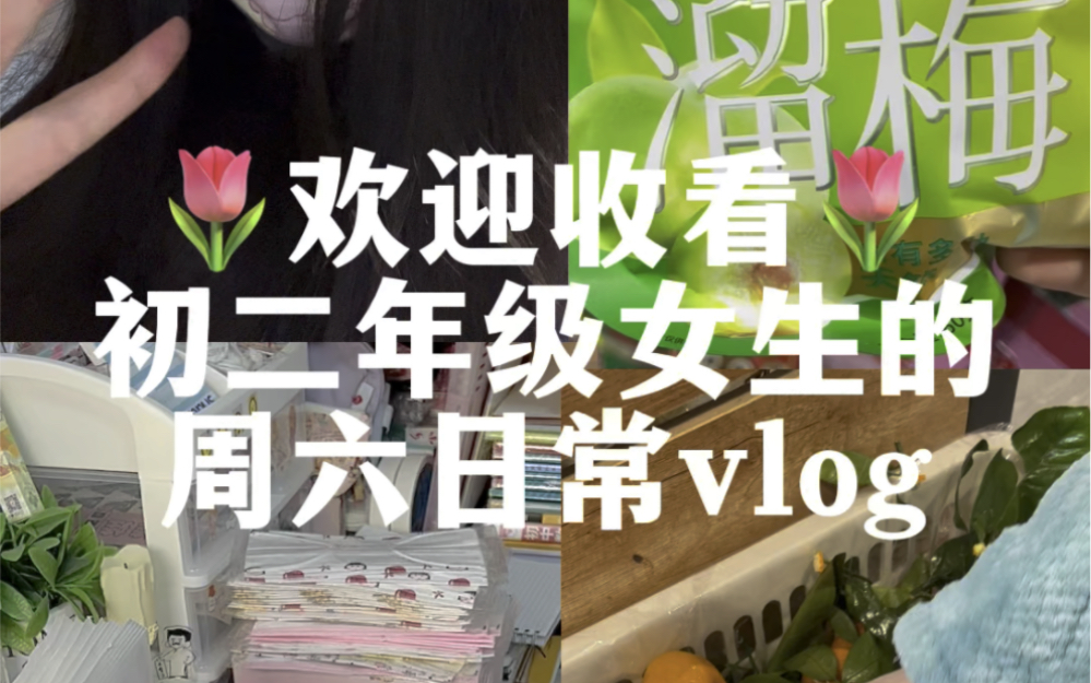 08/初二年级女生的周六日常vlog哔哩哔哩bilibili