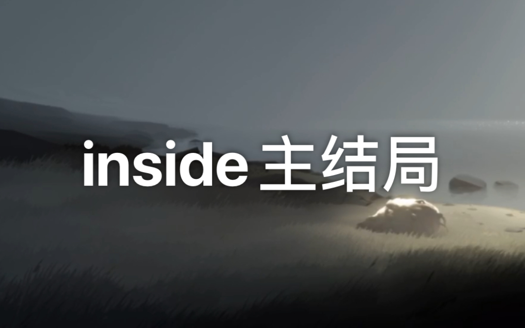 [图]《inside（囚禁）》最后一关，小男孩逃出生天却难逃命运，主结局致郁人心