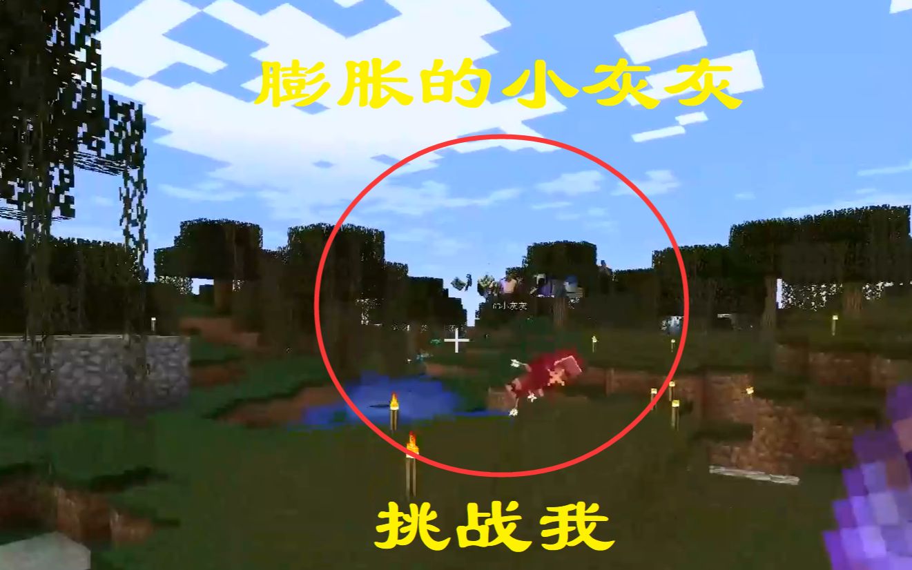 我的世界联机101:钻石已经修不好的钻石镐,膨胀的小灰灰向我挑战