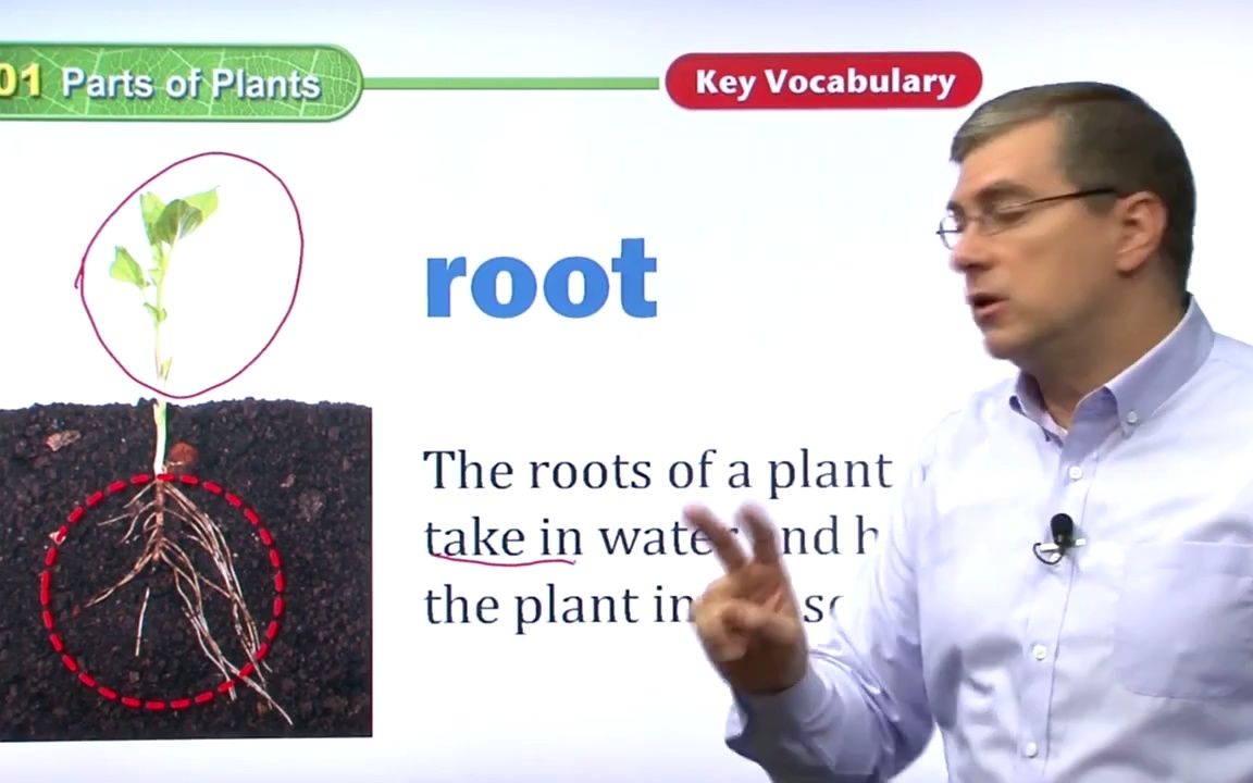 [图]【美国中小学精选课程】 P1. 【001】Parts of Plants