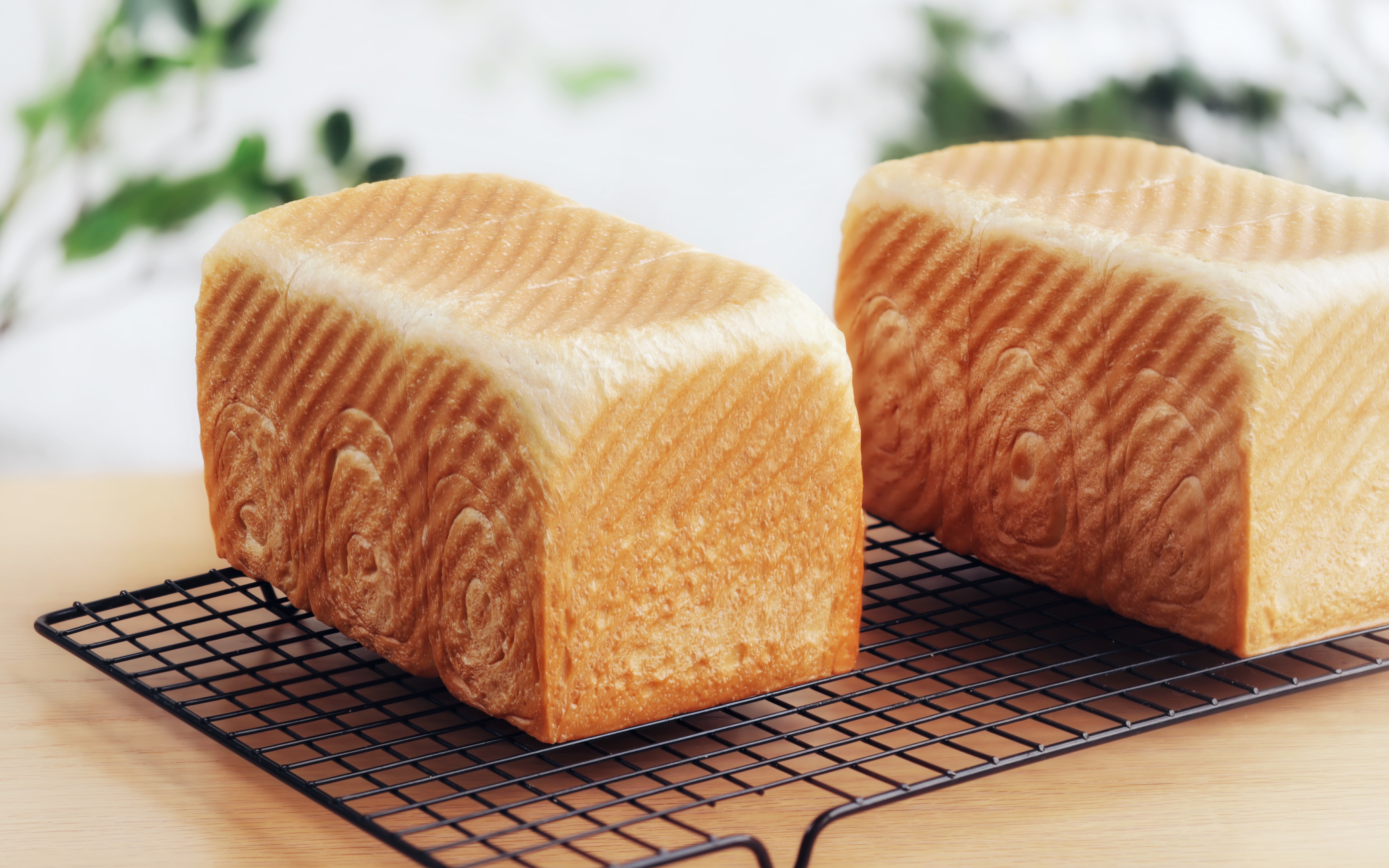 「日式生吐司」奶香十足可以放进嘴巴里的小云朵,我可以吃掉一整个嘛