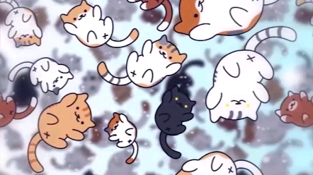 猫咪壁纸哔哩哔哩bilibili