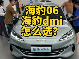 Download Video: 海豹06dmi和海豹dmi该怎么选