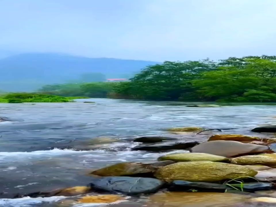 [图]吴雨霏 - 爱是最大权利 纯伴奏