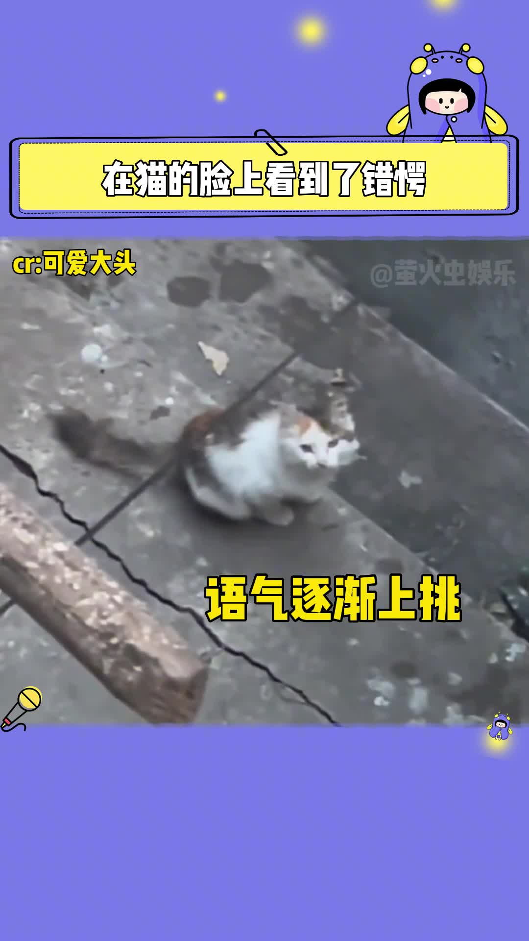 #在猫的脸上看到了错愕 猫:你在外面还认识大美女!!?#猫咪 #搞笑 #表情 cr:@可爱大头哔哩哔哩bilibili