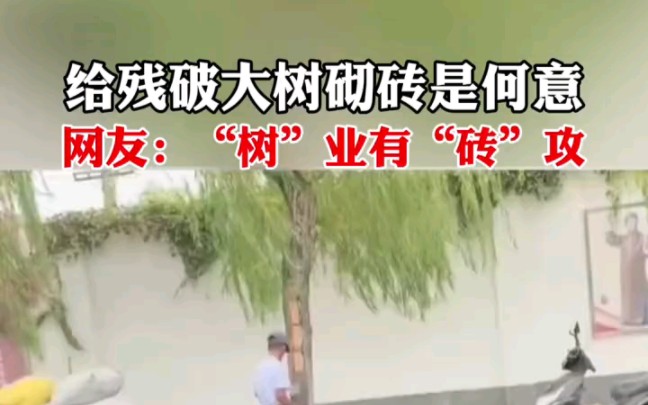 求问,这是有什么意义??哔哩哔哩bilibili