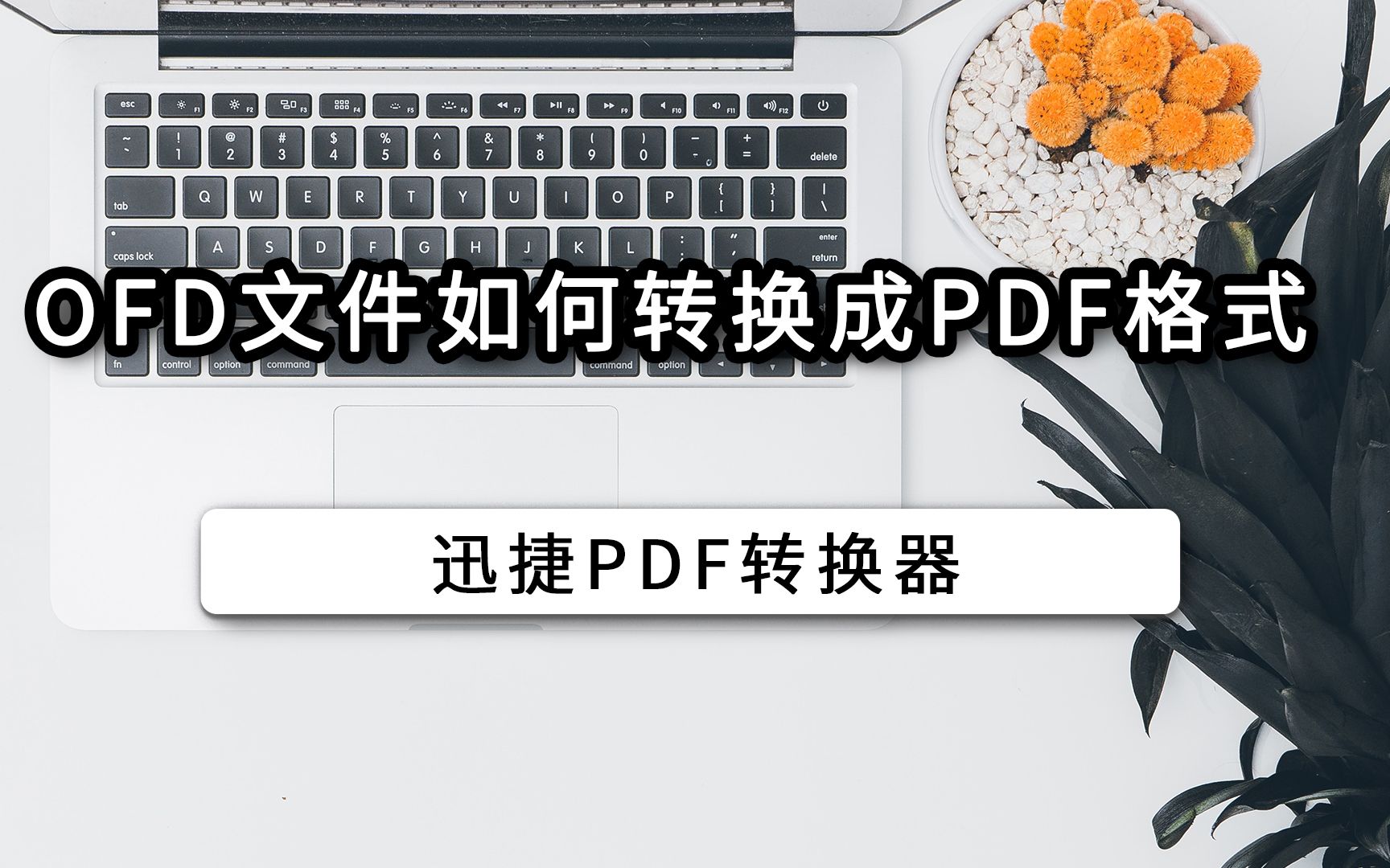 OFD文件如何转换成PDF格式哔哩哔哩bilibili