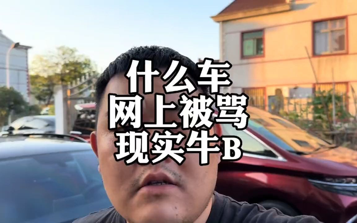 网上让人骂爆炸,现实却没人骂的车,埃尔威尔法哔哩哔哩bilibili