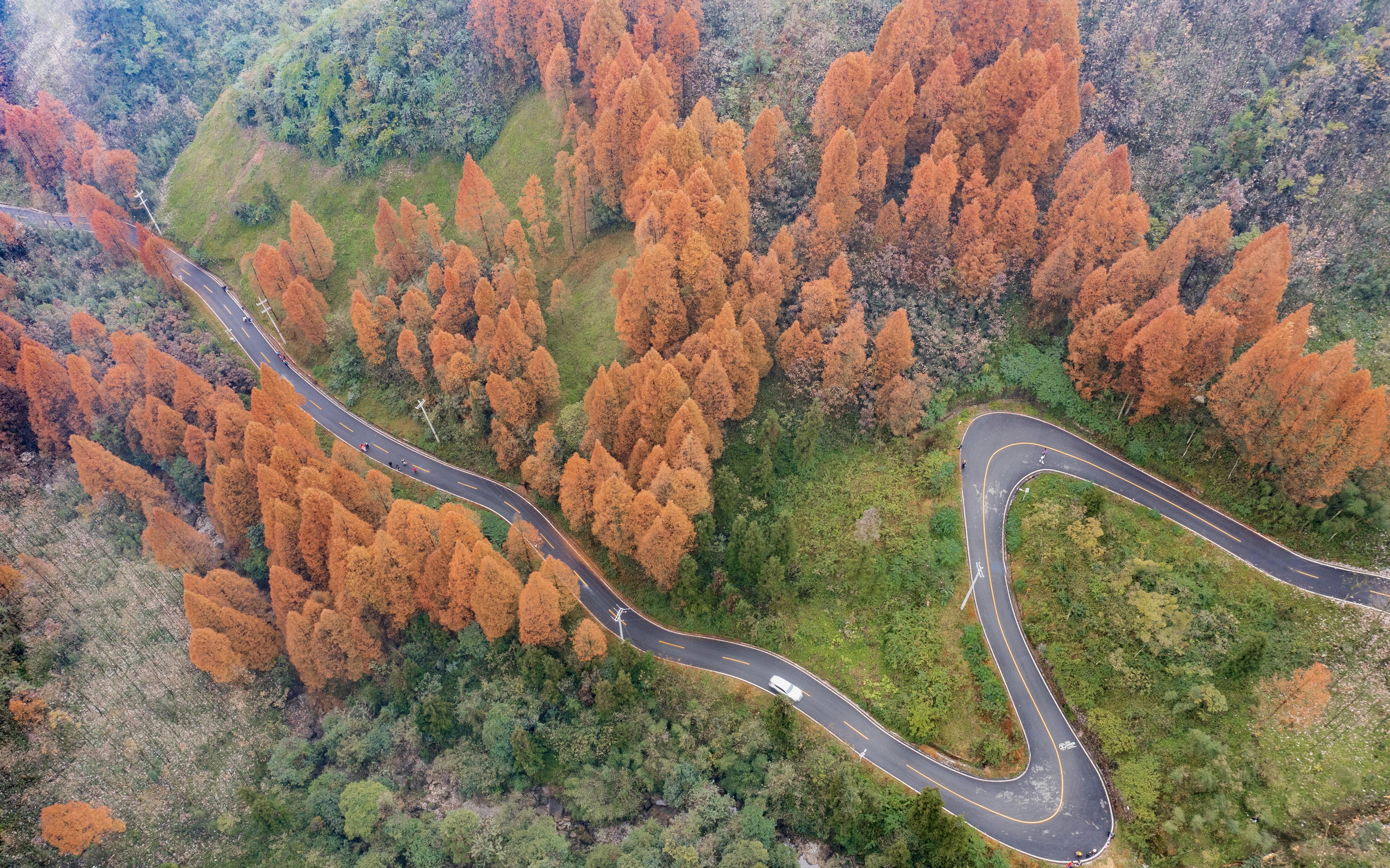成都周边|都江堰赵公山|秋色|航拍
