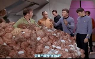 [图]【星际迷航】原初215 tribble tribbles~!