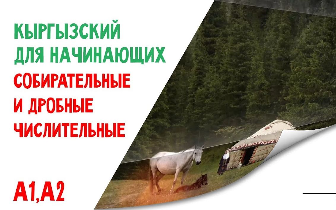 [图]吉尔吉斯语 教学 11Кыргызский язык для начинающих Собирательные и дробные числительные