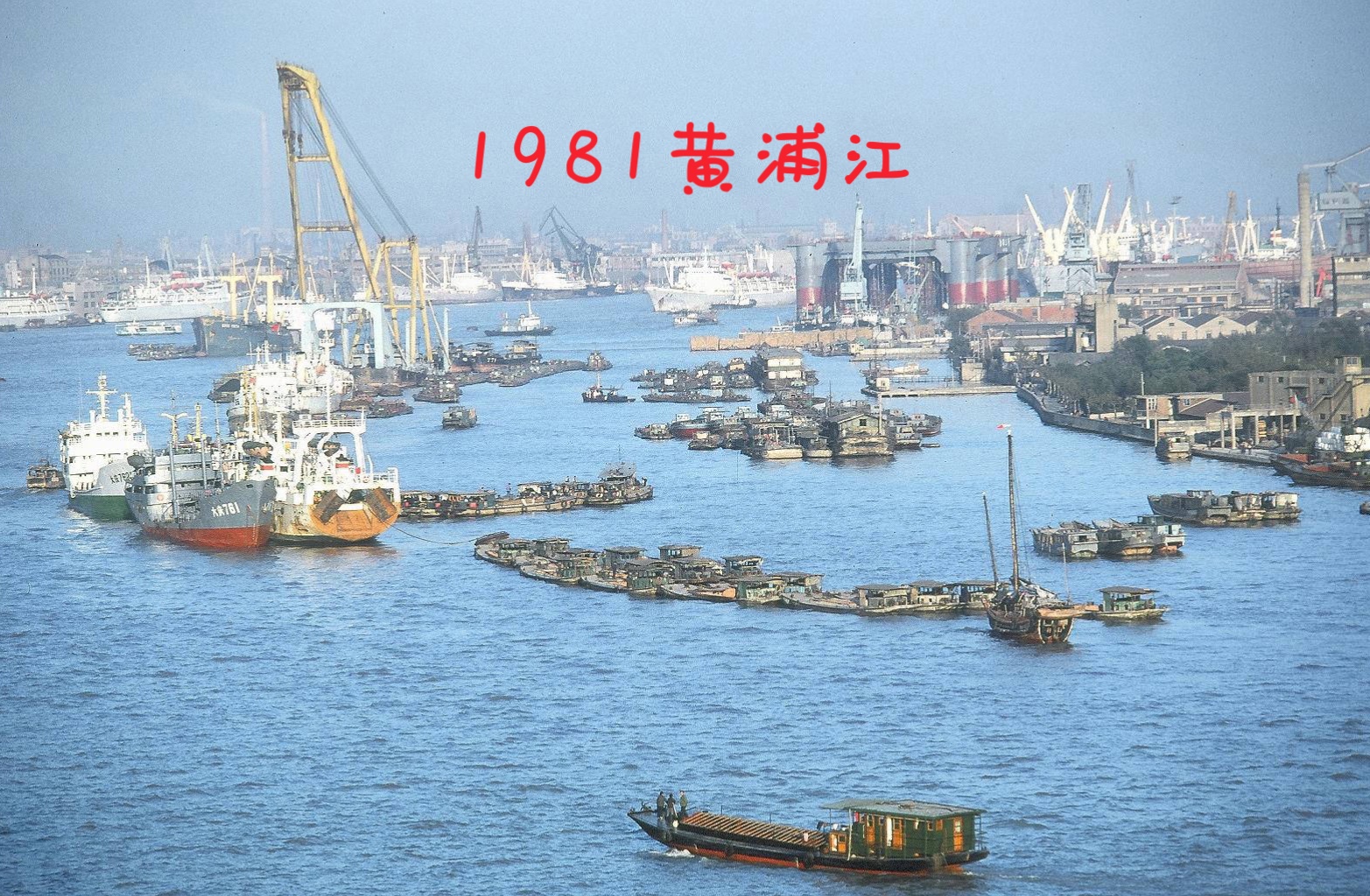 1981黄浦江哔哩哔哩bilibili