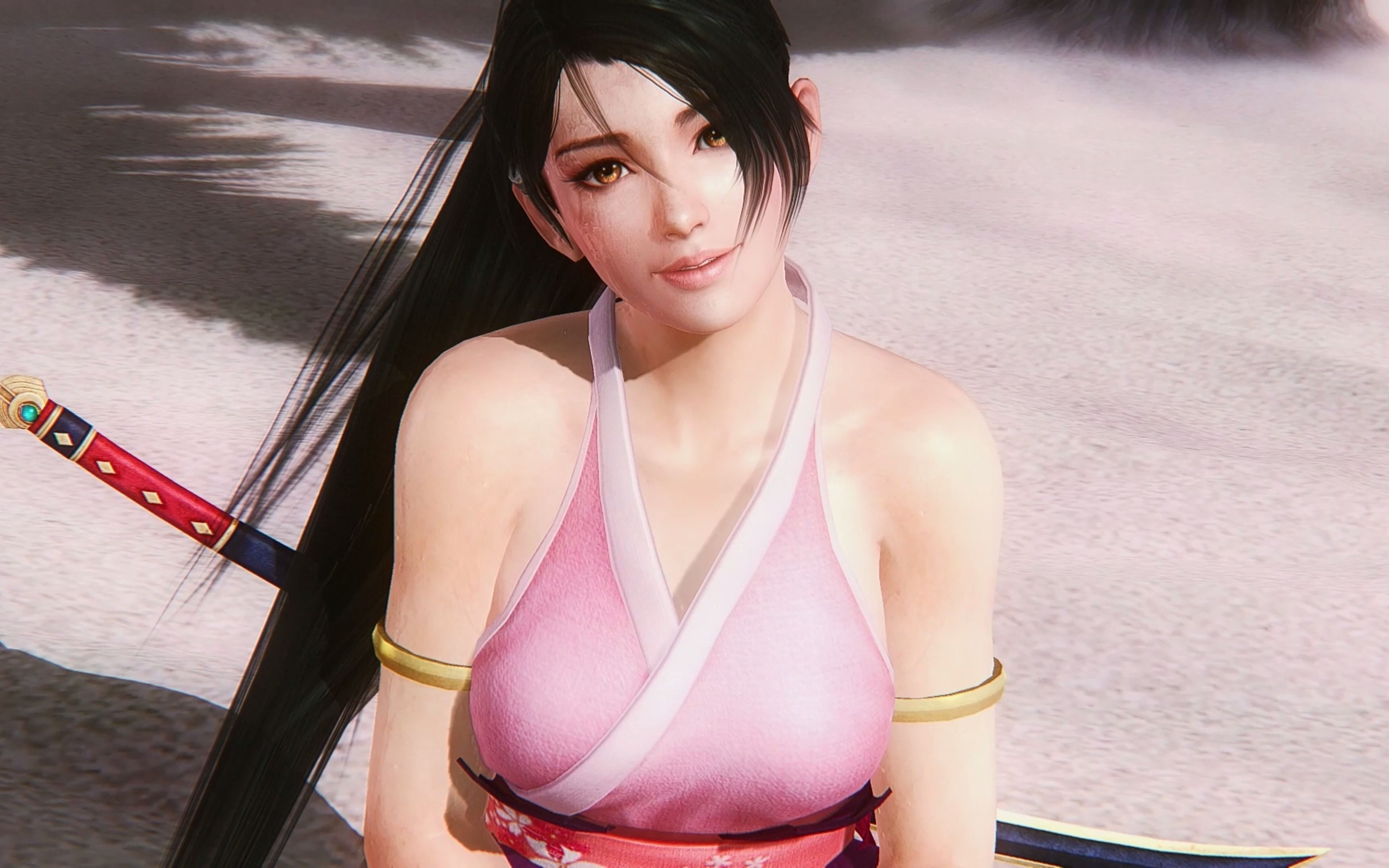 doa5红叶图片