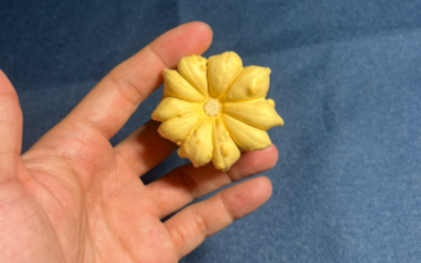 盘墨西哥七彩葫芦