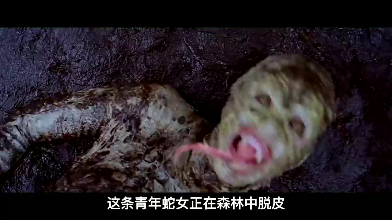 千年大蛇精幻化成美女,还留在人间惩恶扬善,只为寻找抓走的蛇王