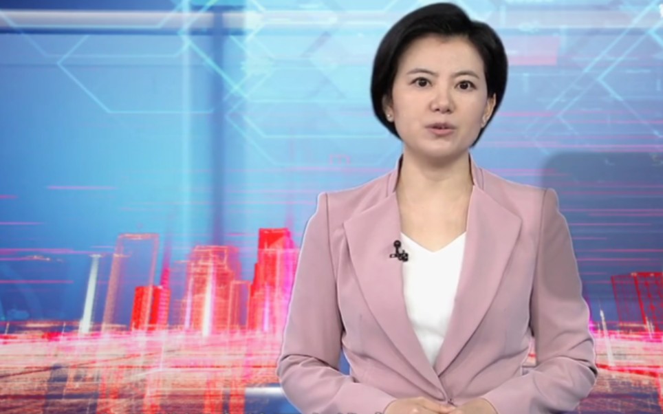 一线气质美女主持人路晨