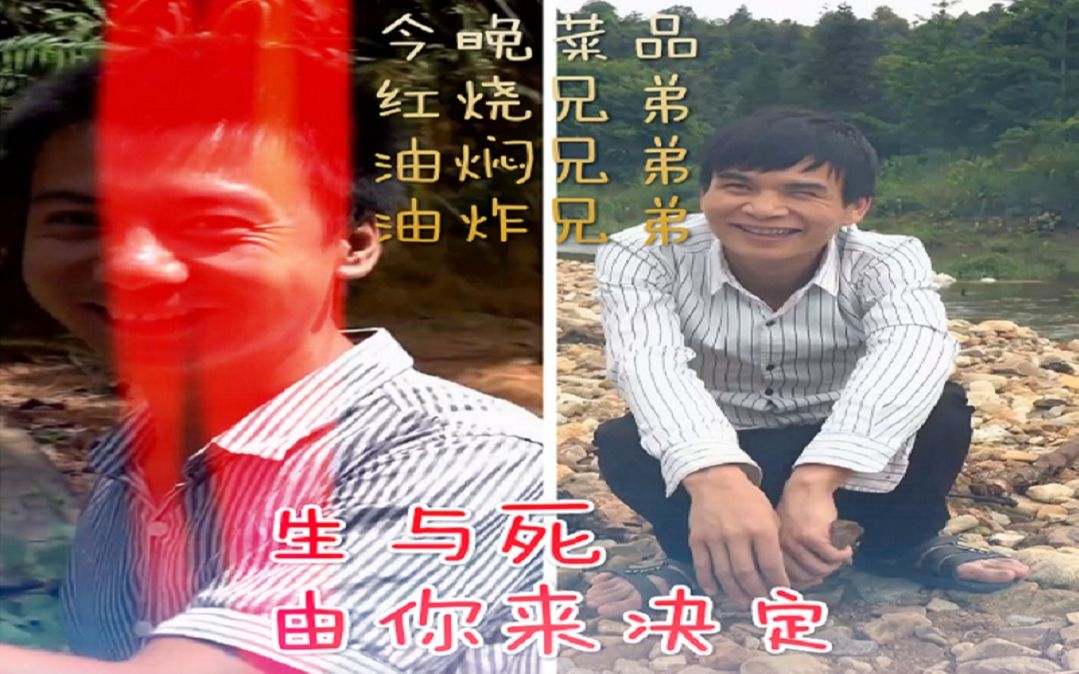 互动视频互动视频身为华农兄弟你会为了生存而互相残杀吗