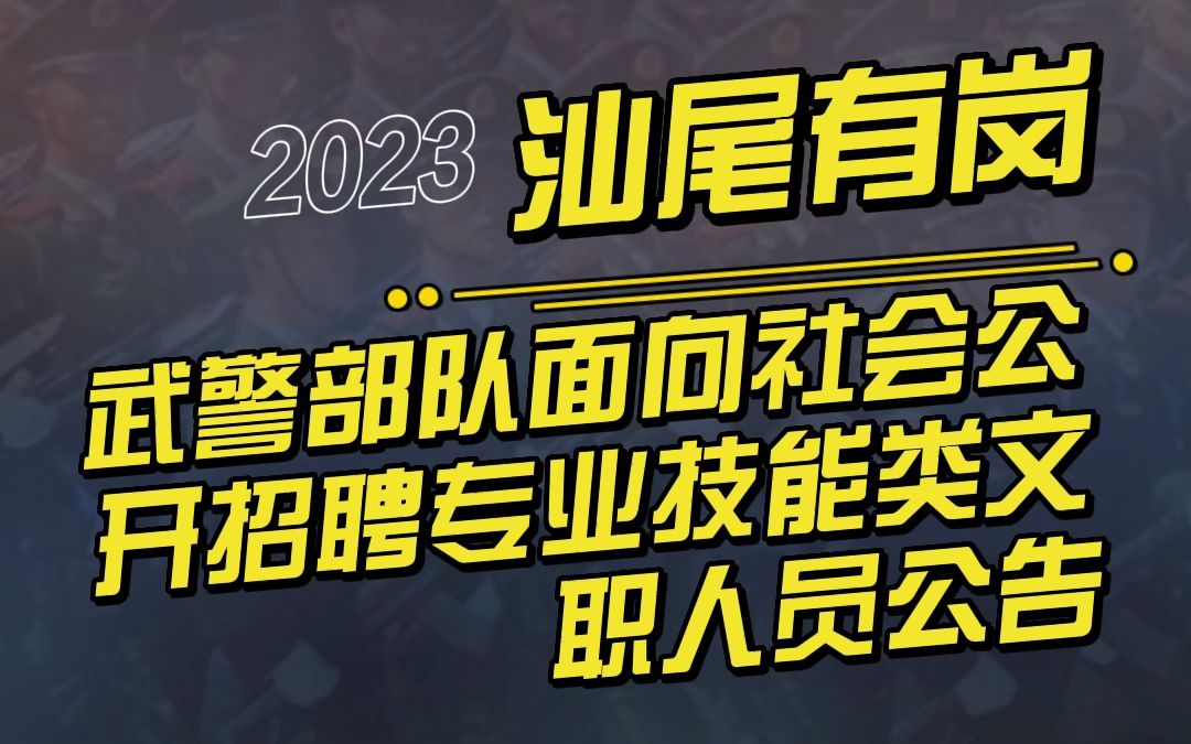 2023年武警部队面向社会公开招聘专业技能类文职人员公告(2)哔哩哔哩bilibili