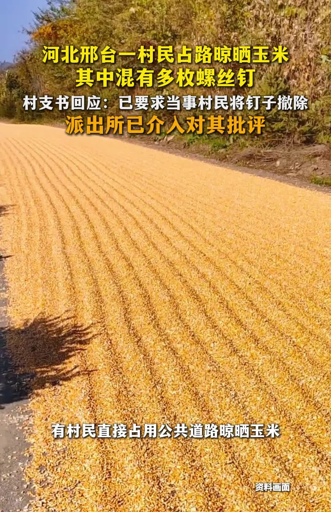 河北邢台一村民占路晾晒玉米