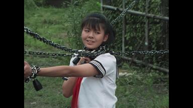 飞女刑事3 スケバン刑事第三部电视原声带少女忍法帖传奇浅香唯新田一郎