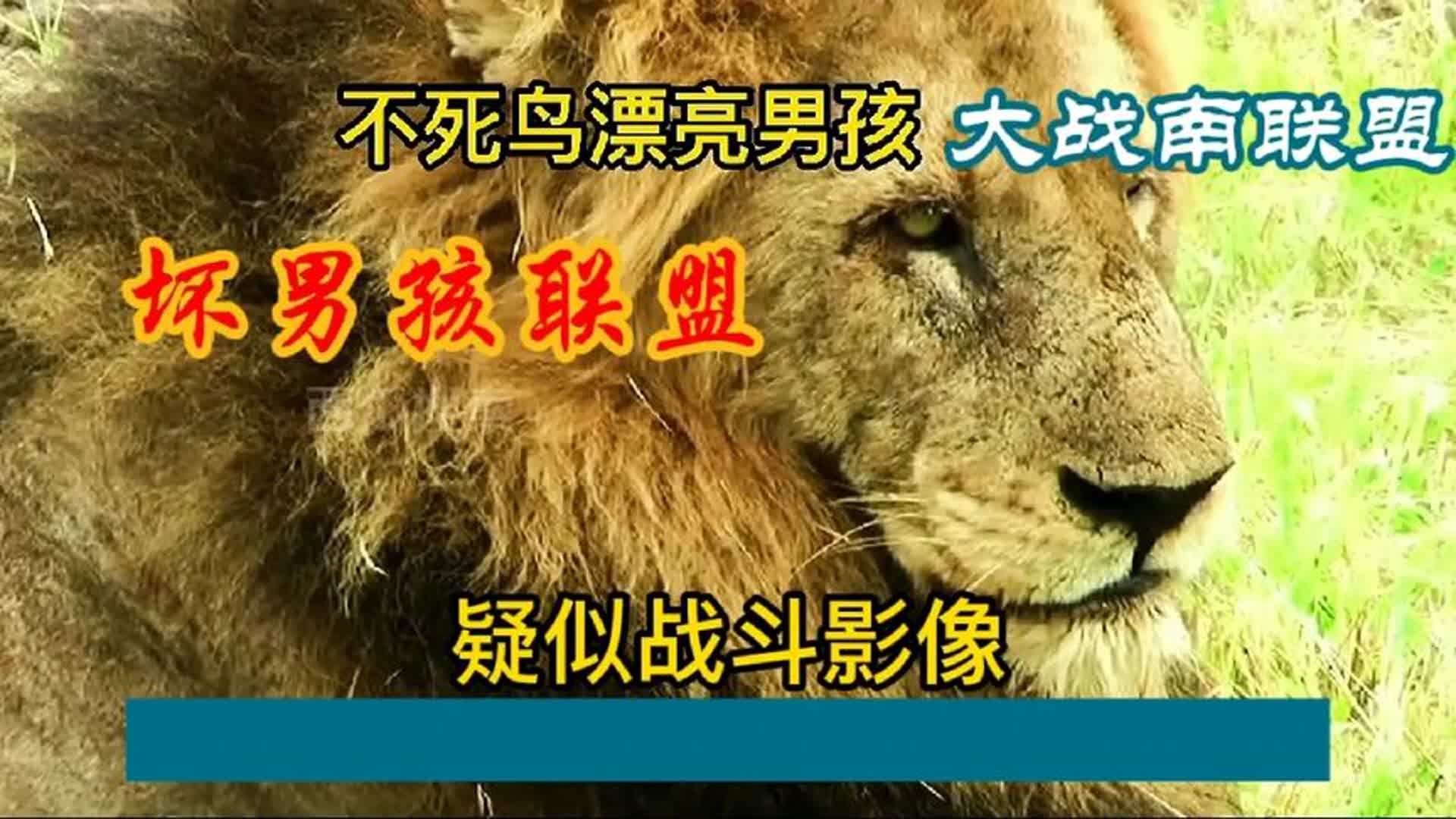 坏男孩联盟纪录片全集图片