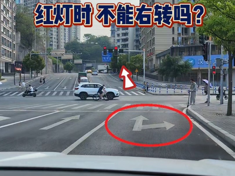 红路灯路口,圆形红灯时不能右转?哔哩哔哩bilibili