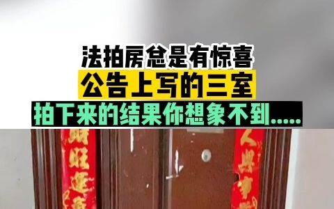 还不起按揭贷款了,还差20万还完了,结果还是被查封拍卖了,原房东比较配合也很无奈,早早就搬空了……哔哩哔哩bilibili