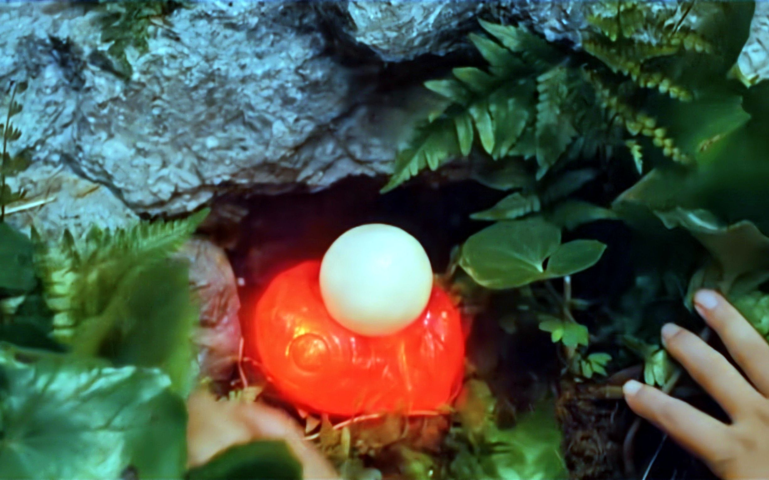 上古神龟:男孩捡到一枚上古神蛋,孵化出一只几百吨重的乌龟_哔哩哔哩