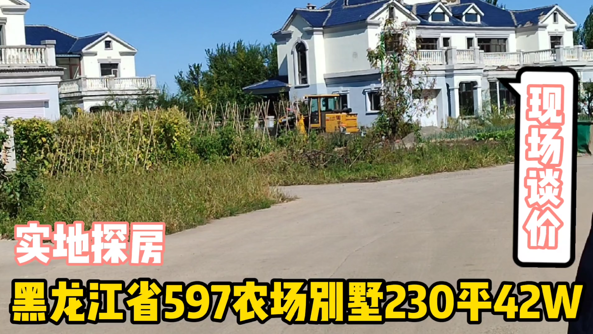 黑龙江省597农场别墅230平42万,现场实地探房以买房者身份与房主谈价哔哩哔哩bilibili