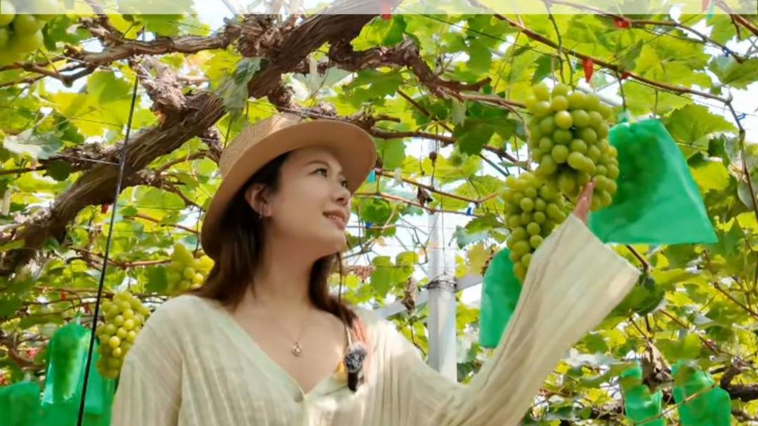 夏日的甜蜜限定，就藏在锡山