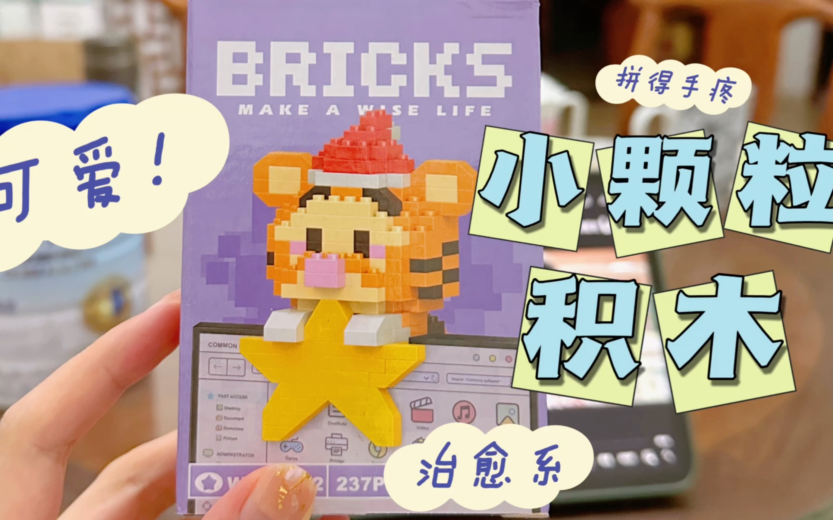 BRICKS小颗粒积木拼装哔哩哔哩bilibili