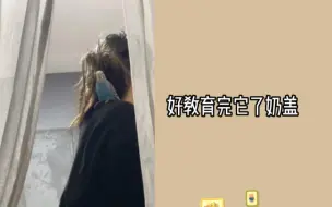 Download Video: 【奶糖】唐莉佳对小鸟:为什么不跟我玩 怎么都不亲近我呢 晚上不要吵到我们睡觉