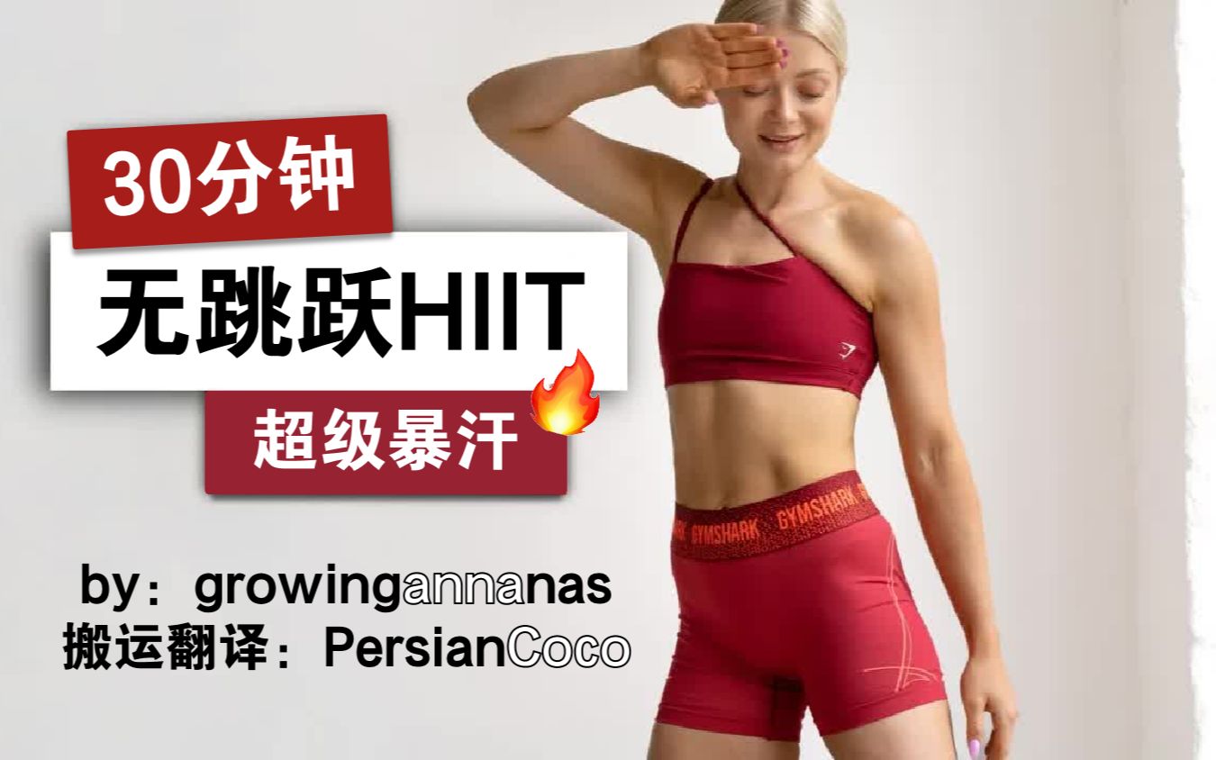 [图]【growingannanas】22.06.20更新！Anna的30分钟无跳跃HIIT（高强度间歇训练） 全身燃脂低冲击暴汗有氧